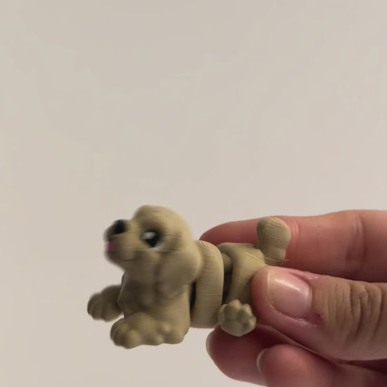 Floppy-Ear Dog Fidget shown moving in a hand.