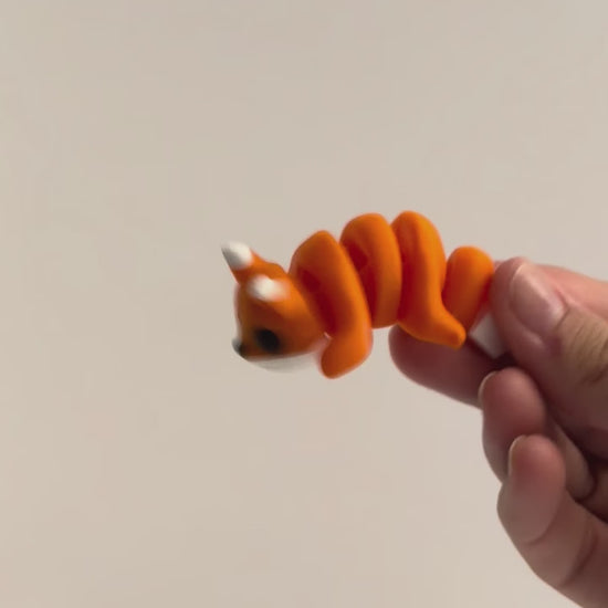 Frank (Fox) shown moving in a hand.