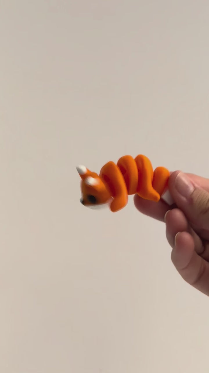 Frank (Fox) shown moving in a hand.
