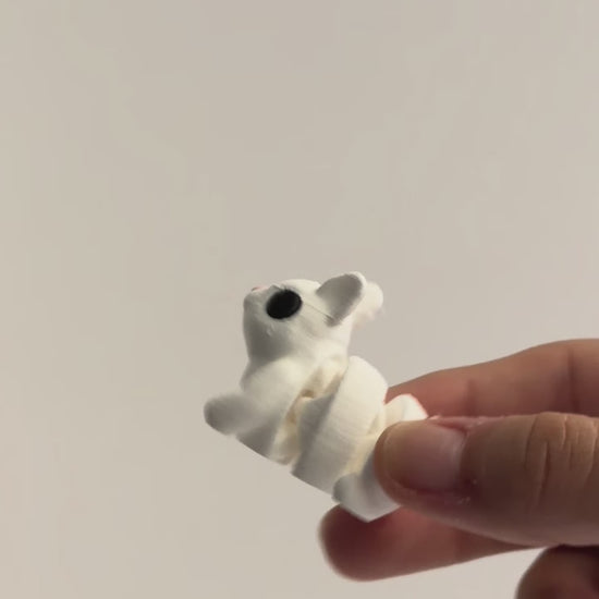 Rodger (Rabbit) shown moving in a hand.