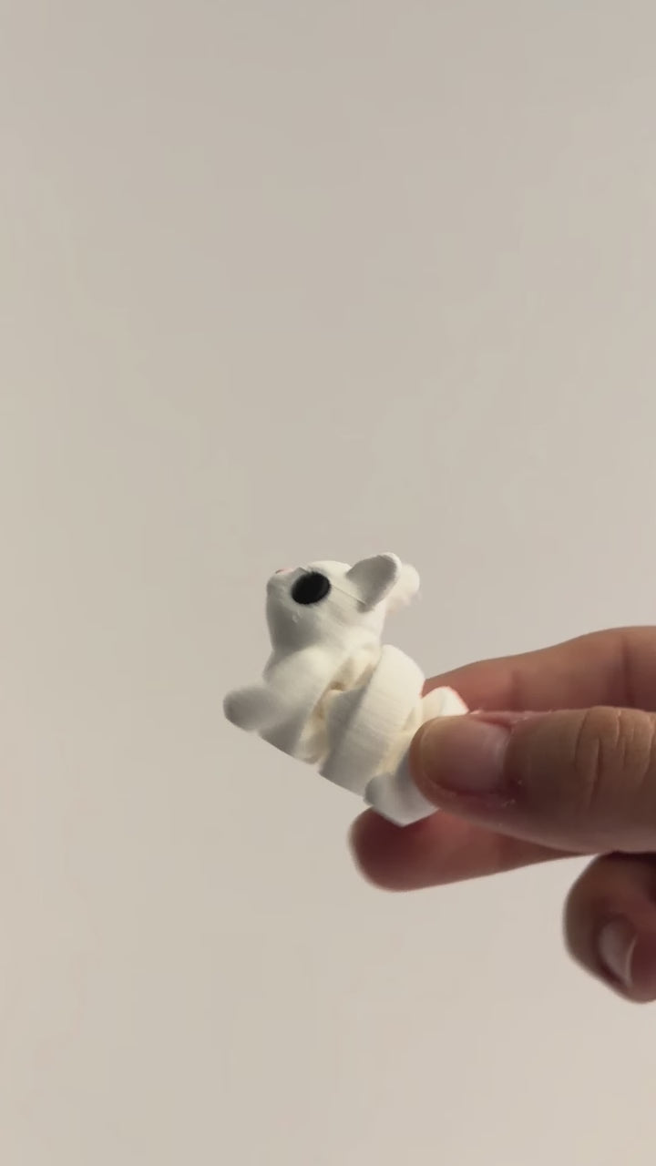 Rodger (Rabbit) shown moving in a hand.