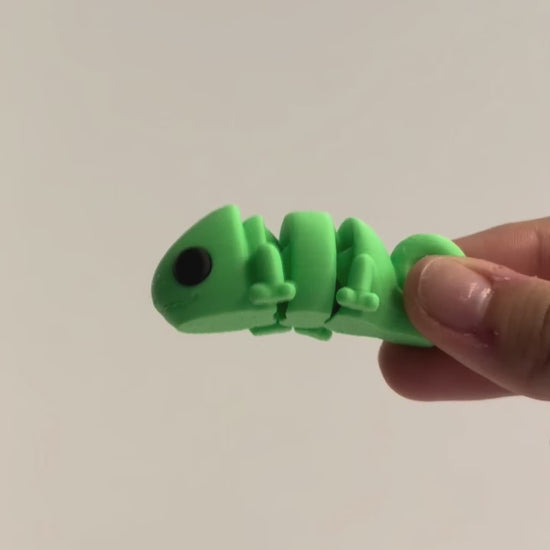 Cassie (Chameleon) shown moving in a hand.