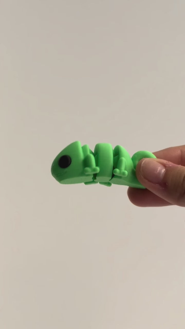 Cassie (Chameleon) shown moving in a hand.