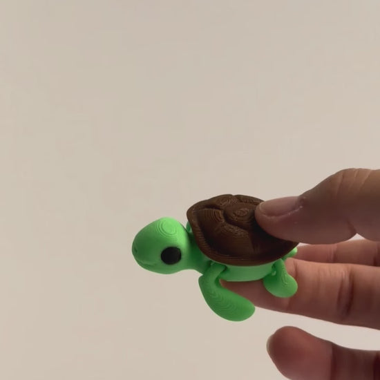 Squirt (Turtle) shown moving in a hand.