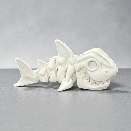 Medium Skeleton Shark